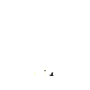 66vip