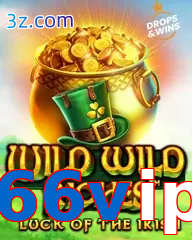 66vip